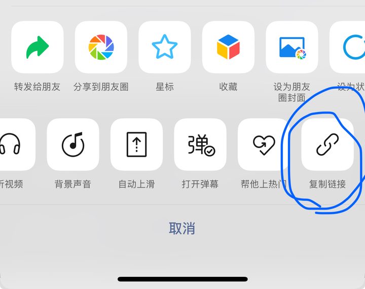 复制链接 按钮